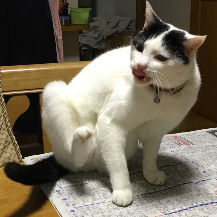 61a34179 b724 434b b153 f094b27fbe70