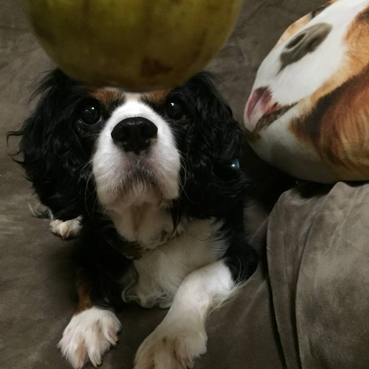 61a4b8d8 22a2 42e5 b020 97e31c9e8856