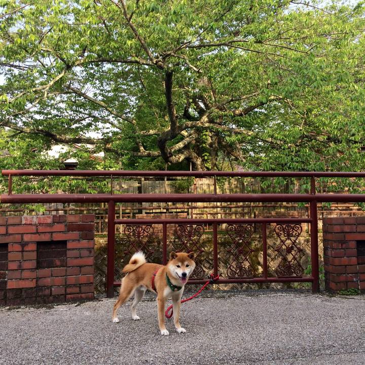 61a513a9 cd31 4bfe b493 9d8eee40a2d7