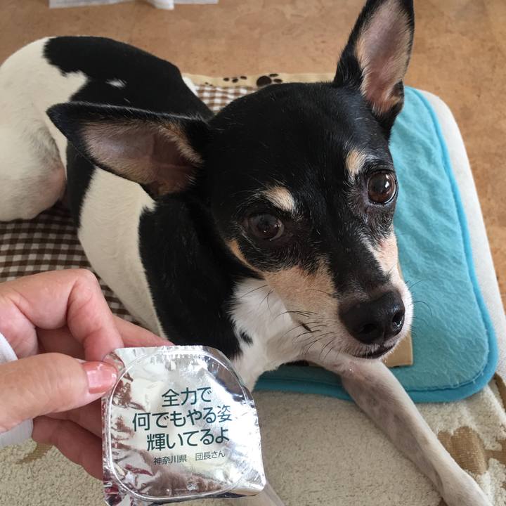 61a5453d 6416 4d7d b714 0b3a4430747c