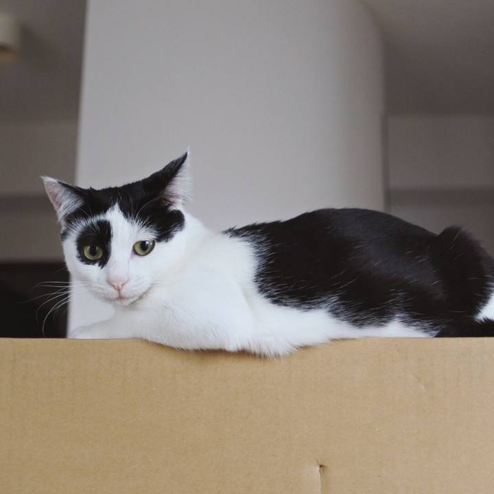 61a58216 91f7 4f58 b5cb b8e65341d9dc