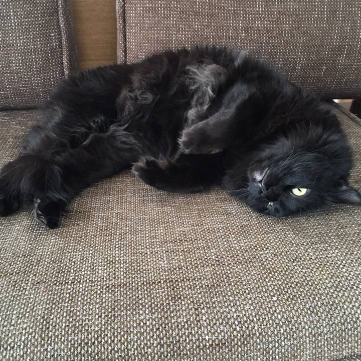 61a638b7 659d 4265 967f 77f8e365f2be