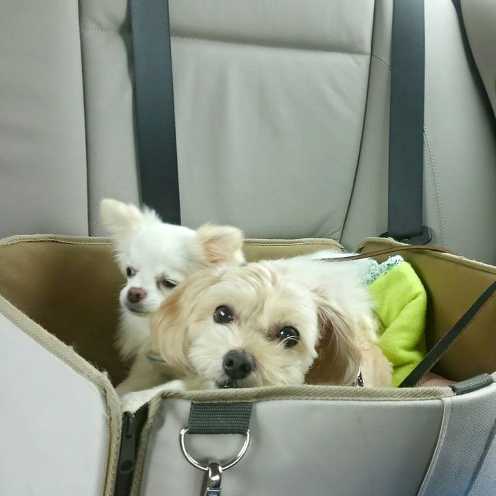 61a6604e 5d2b 4b44 ae4d 0651a4b4d367