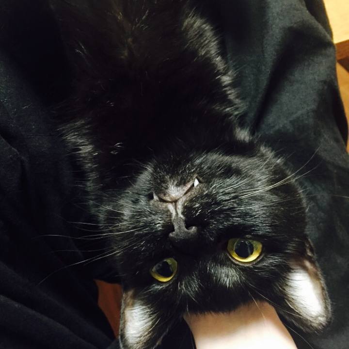 61a6d77c ef09 4037 947f 95b8a051716e