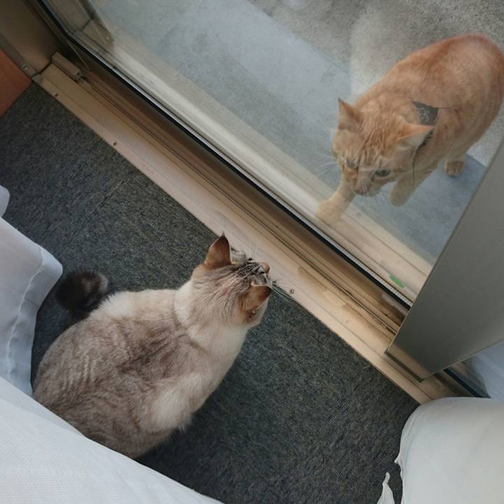 61a6edd1 47f8 4ac9 ab34 d8e893baf308