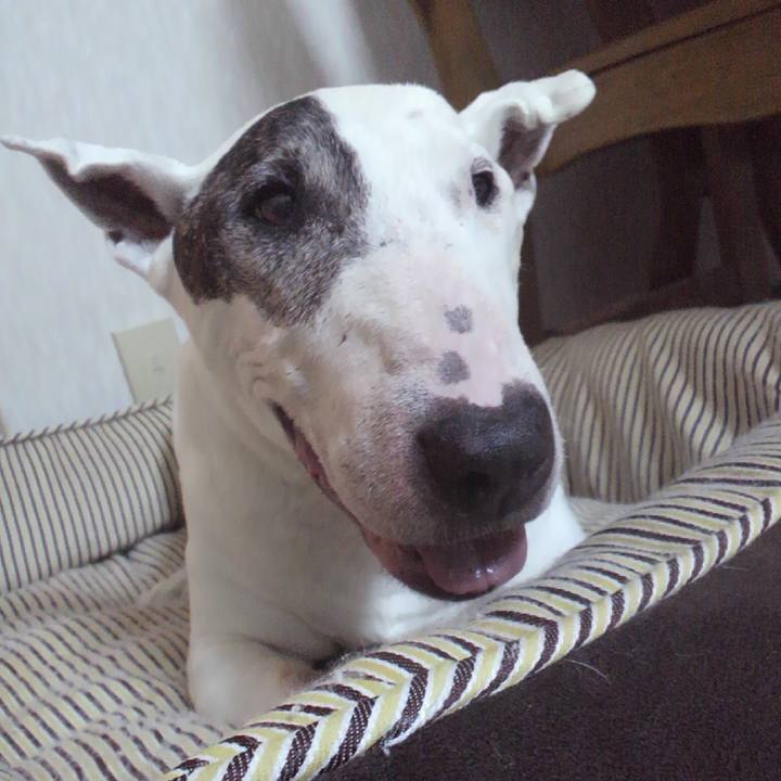 61a7690f 5ed5 4a65 840f 90687bb0c88b