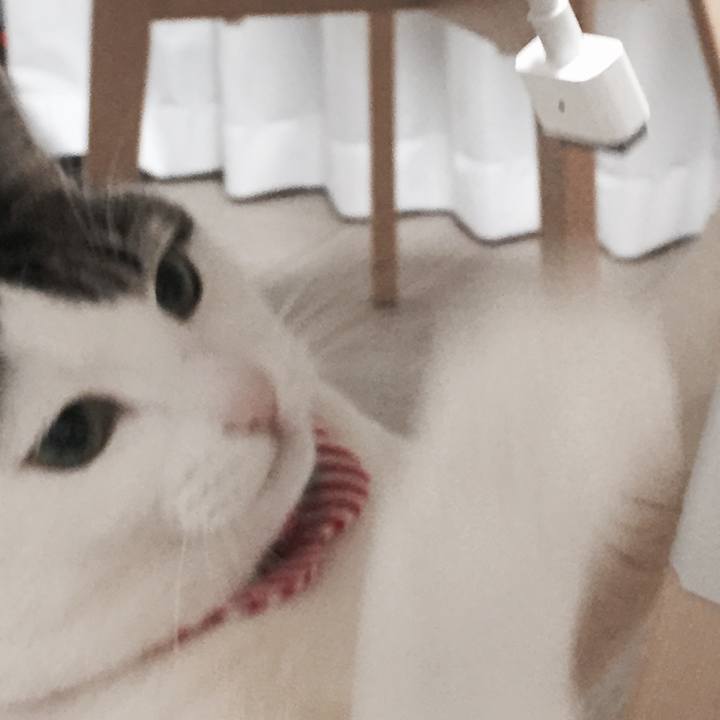 61a792a4 f938 4f4d acfb c8674bd7e9f6