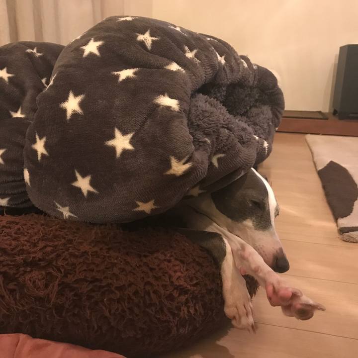 61a79aaa 61d2 41d9 a8c4 c2fde037f858