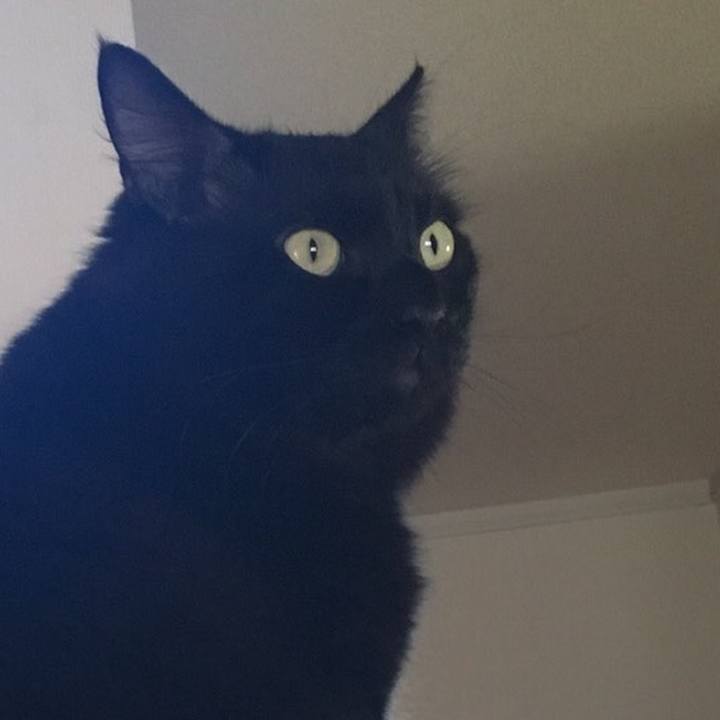 61a7a883 6ca9 46cf 8d58 1949f1768dce