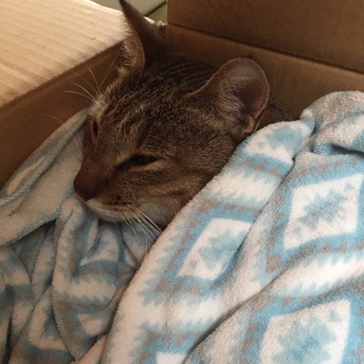 61a7e0ff 3495 4f81 8257 08e32eb9775b