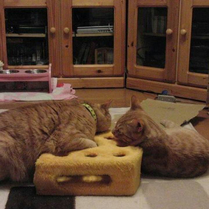 61a7fbbc 10d6 4060 ae84 7973a7fbdc5b