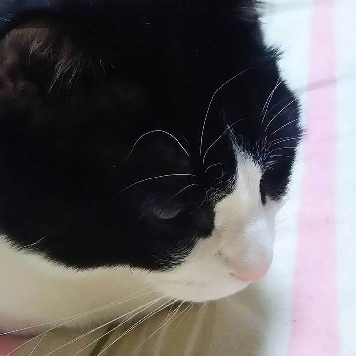 61a84507 c46a 41dc bfed 0bc95db9428b