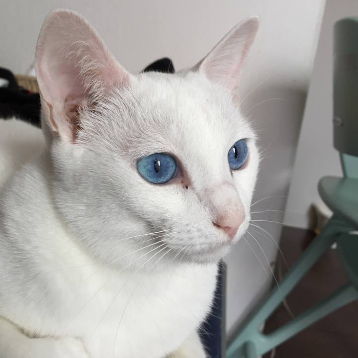 61a88ccf cfce 4975 b22d 4966e7e9f2ee