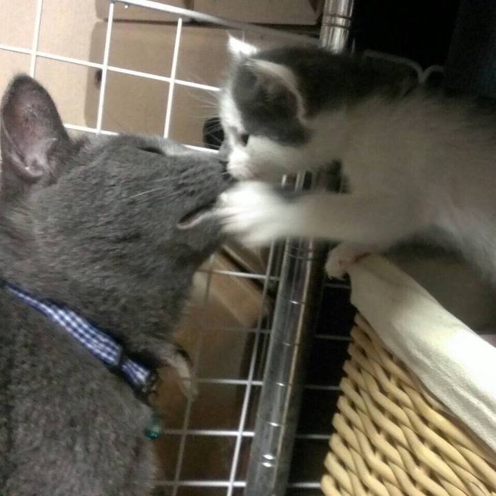 61a8ebcb d328 40e9 a4eb 398e34e716b2