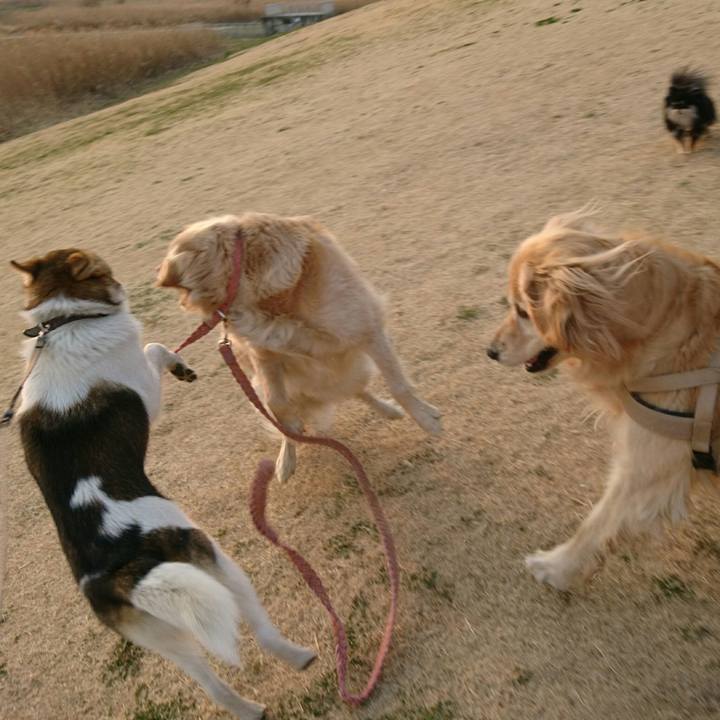 61a9053d 7aa2 4313 aabe ad36e11772dc