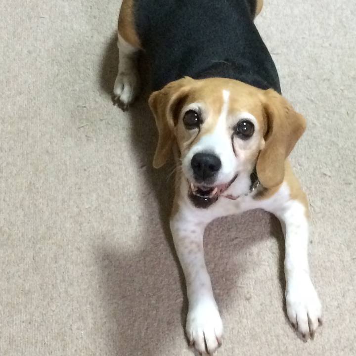 61a937b0 be7e 461d 945e f271f8911b4f