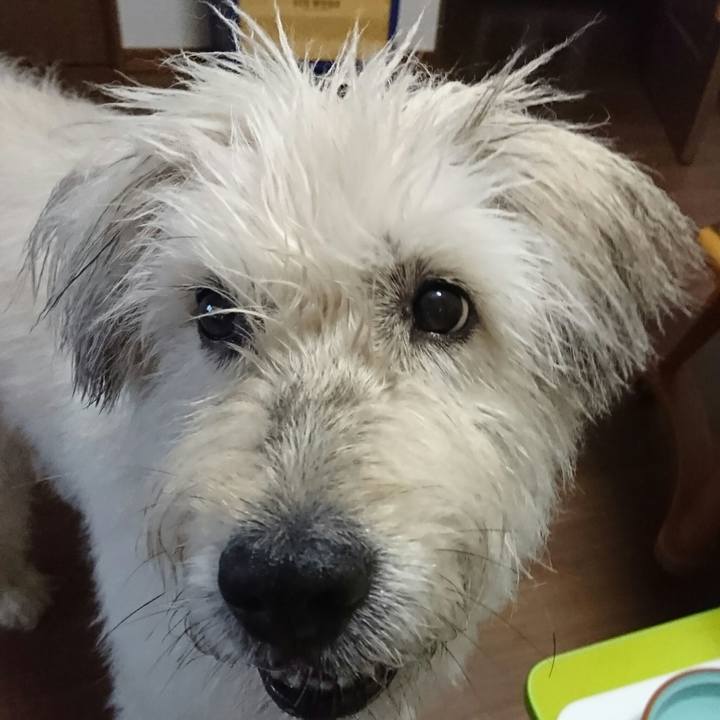 61a95e86 54f0 45bb 857f d82ecf0cbd78