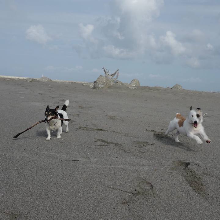 61a97e28 5cb8 4454 b61b 2b798afadd24