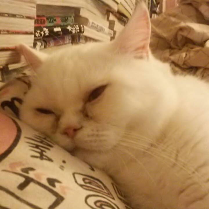 61a98ebf 8953 44e8 8273 05cff8b49fb0