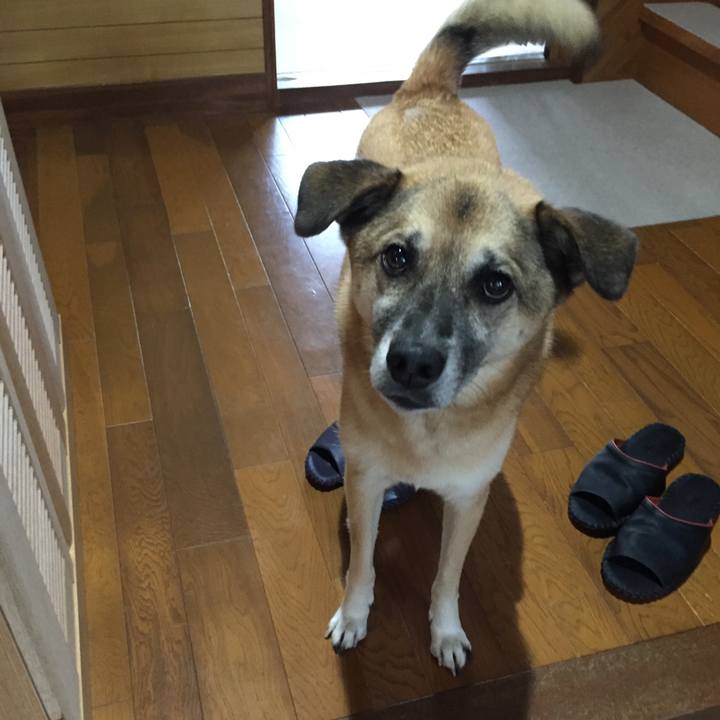 61aa585c 570d 488e b074 97f591a429d6