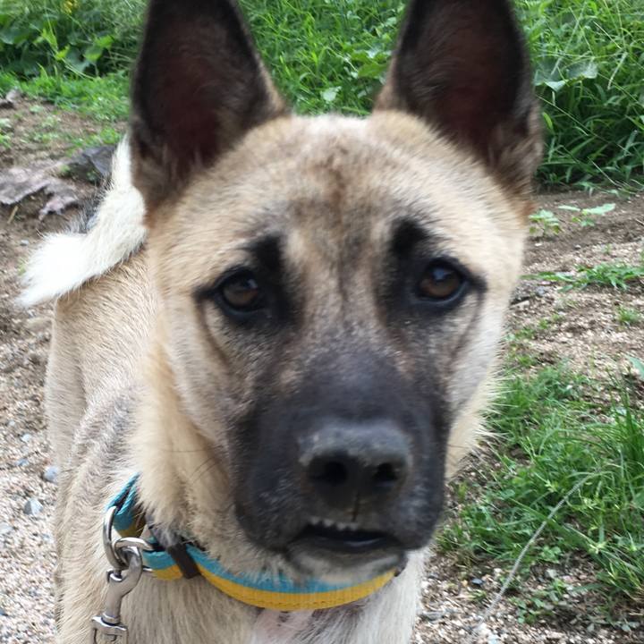 61ab1aa5 4a1d 478f 9728 cd8611f61704