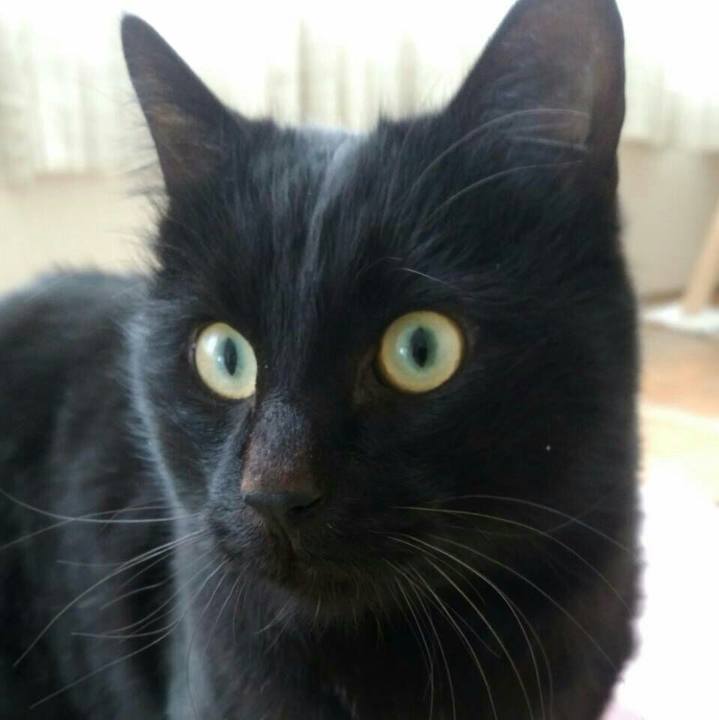 61ab3841 5037 4570 82e2 22b1e1c04e8d