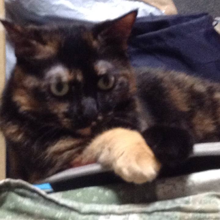 61ab5963 317c 4691 877d 1ffbeaa6769a