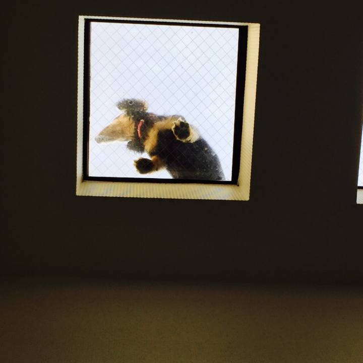 61ab5f40 c4e1 4c67 9d74 bf9e7b73b833