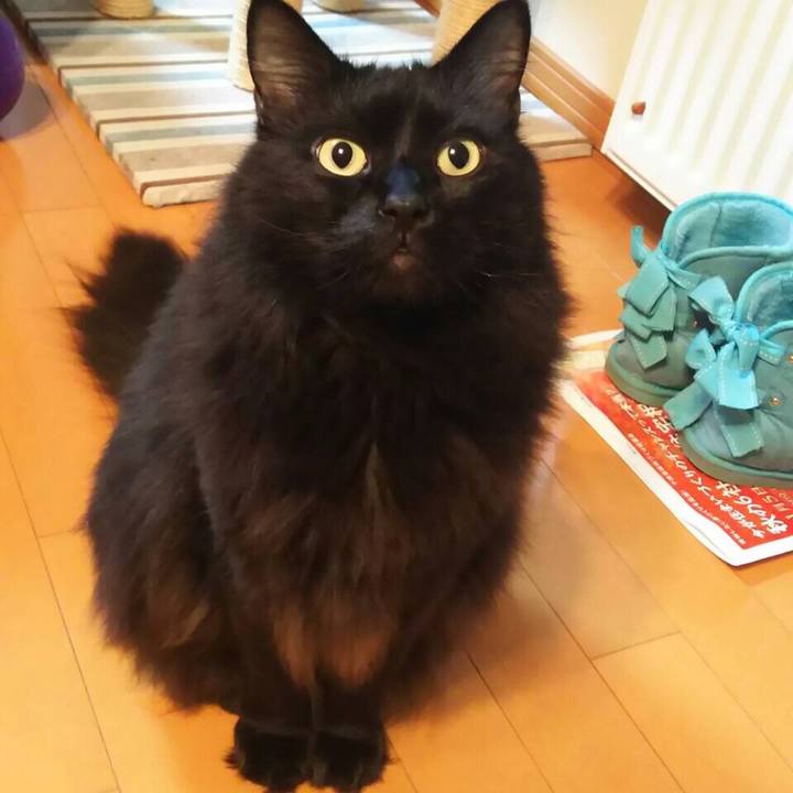 61ab756f 8356 4957 ae4a 9db3a621251c