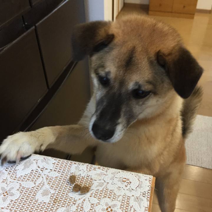 61abd64d e464 4991 aa81 4cd37809795a