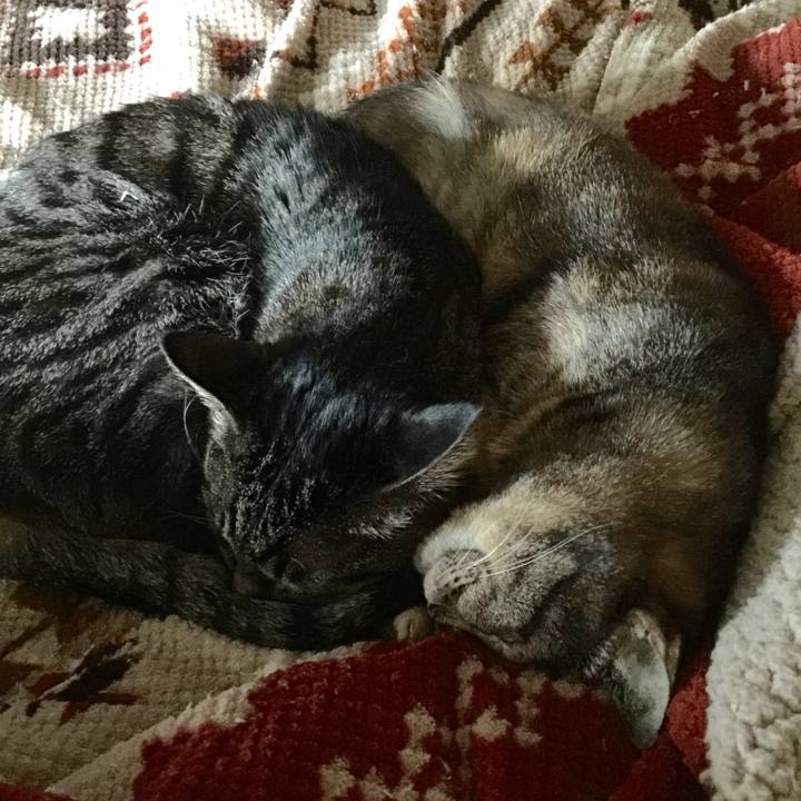 61ac03b2 b921 4354 9c63 b12207f43521