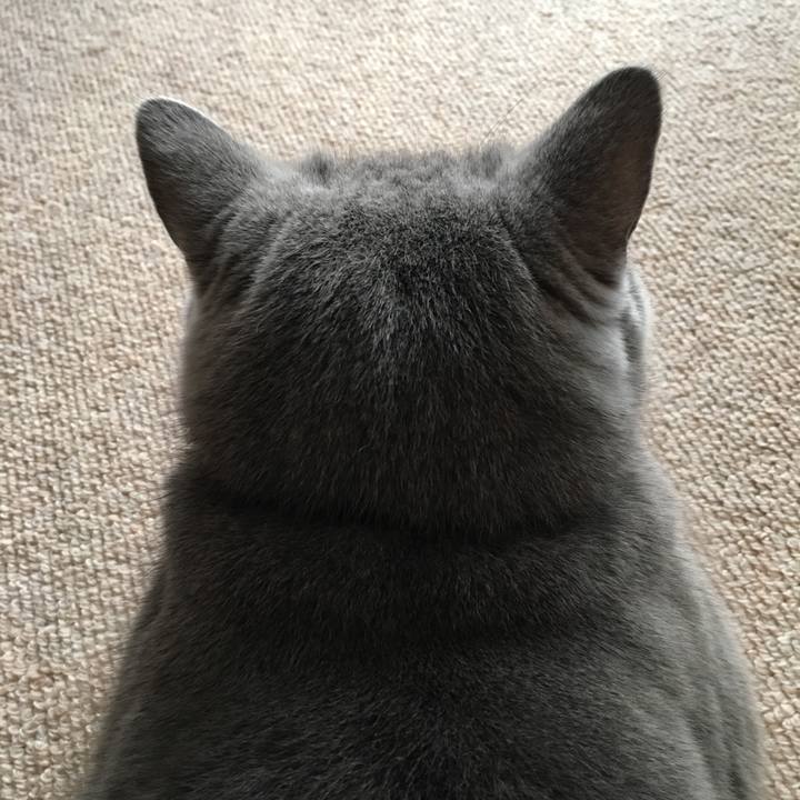 61aca96a 6887 4193 8507 79b92d5a2f63