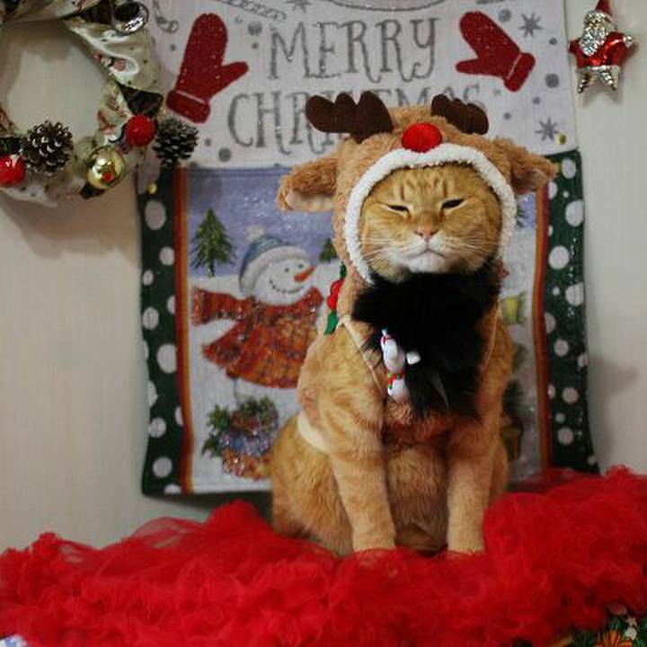 61ad4104 22c4 4428 abe1 dc63655d5822