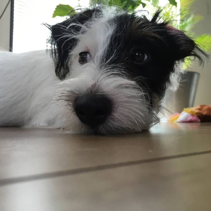 61ad635e ef0f 4483 af4f e35fbafc4784