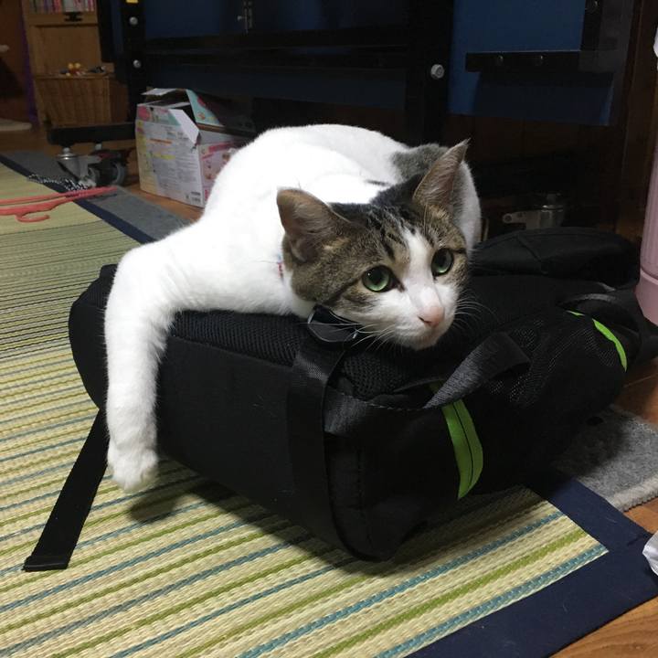 61ad7097 9740 4270 bb2c 70ba04560506