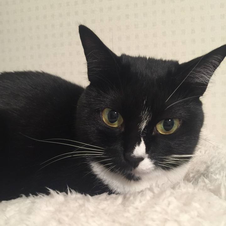 61af594f 8899 4c71 af5b 27d571e9eed4