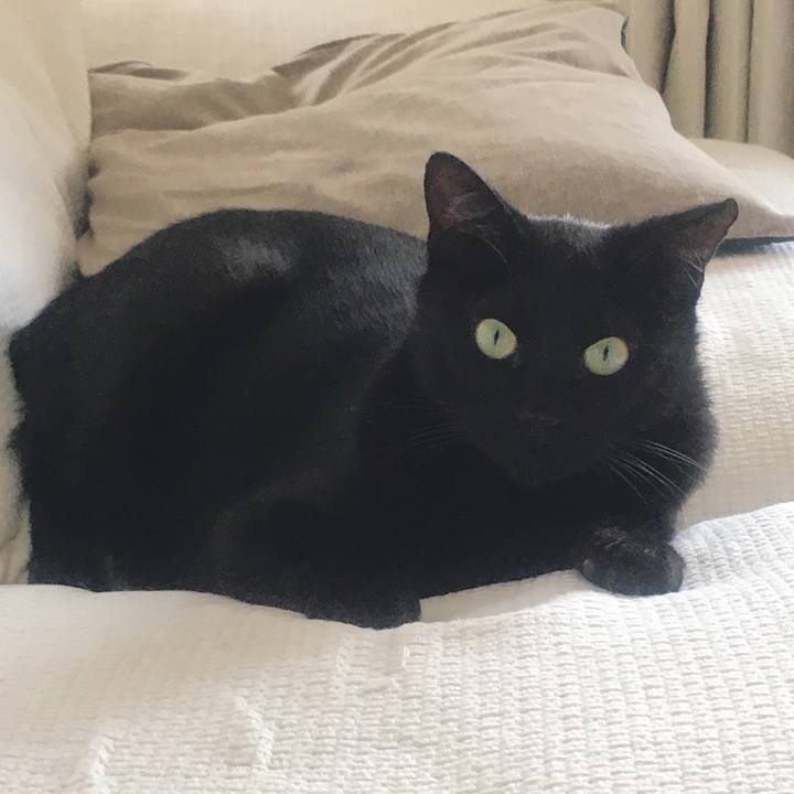 61b00338 c7ed 4821 bc3a f37eaac9e595