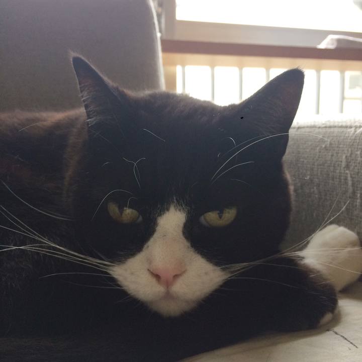 61b02119 86cf 49a9 9e09 ffd31df0b335