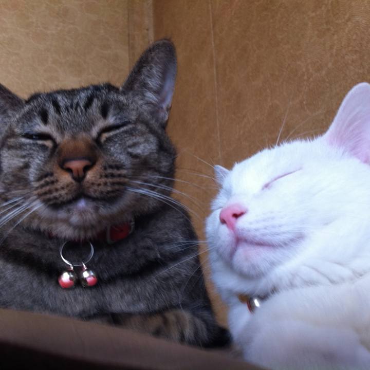 61b02ca9 f854 4bb8 a6c9 b27a5ea7a40e