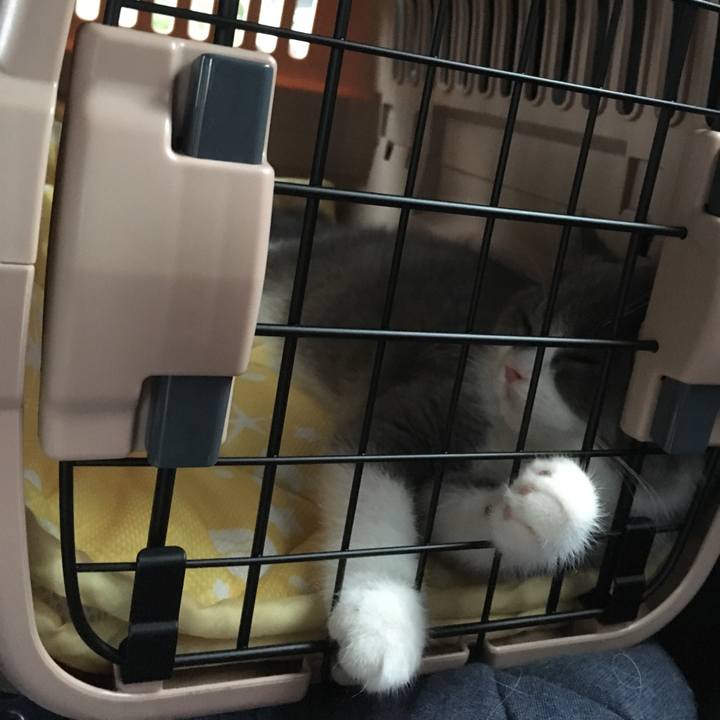 61b03a15 6587 4c23 9607 c3fbb3c418d4