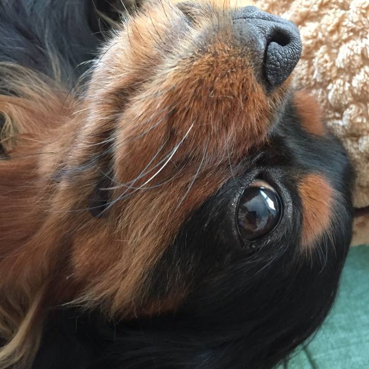 61b08782 8bce 4e5b 8543 29f8948f84ba