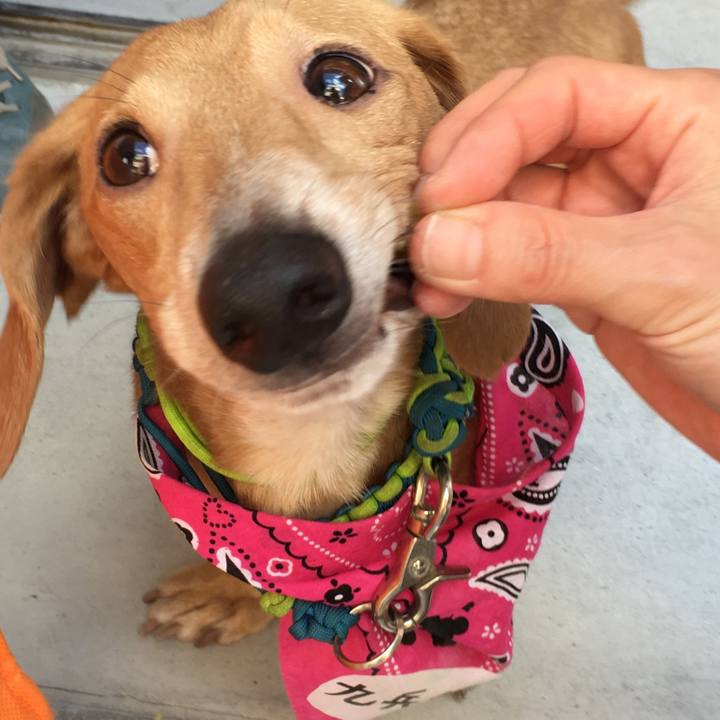 61b116df b3e8 46e0 8d2c bc887446721d