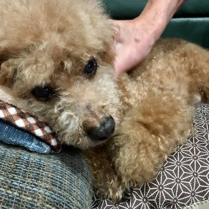 61b28cd8 b876 4542 925d 069f9c44a730