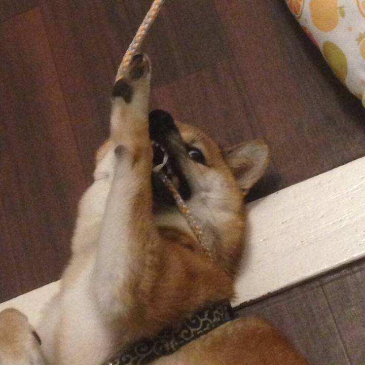 61b2fb41 83b5 420c 9ee0 fb746442c709