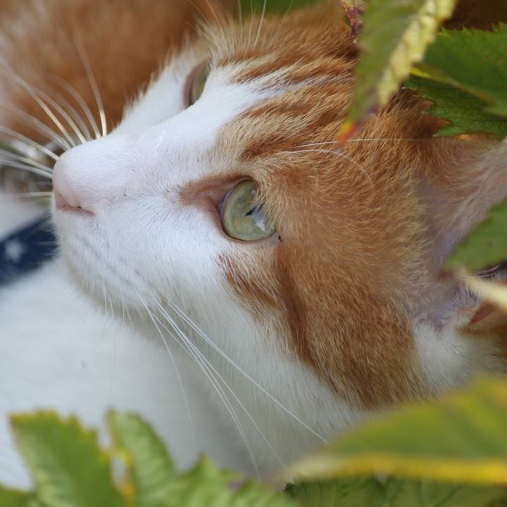 61b34f3f dc51 4187 88f8 1d0005db860b