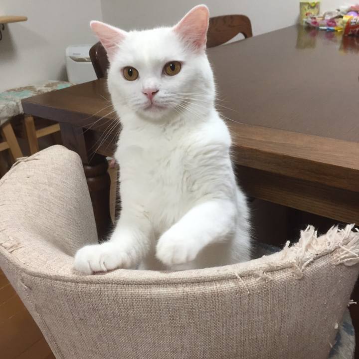 61b3784e ba26 4816 bf35 0d3f47f2b46e