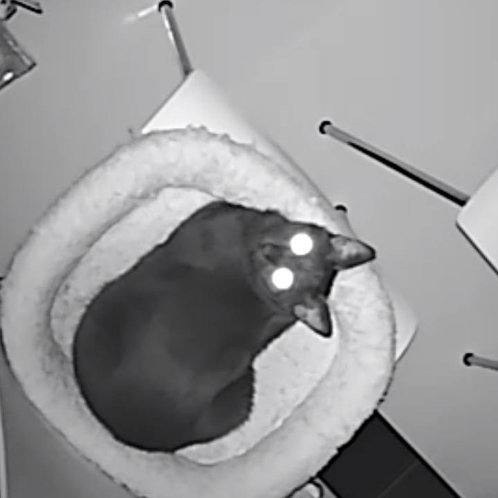 61b3c0eb 4fa6 4a53 8ba9 1b7b18273708