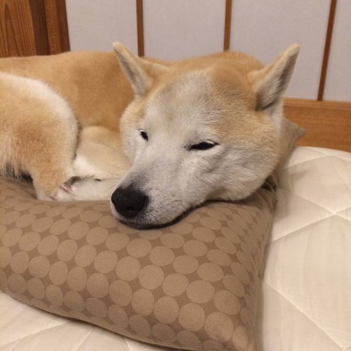 61b477f6 78d7 4915 b60e 84e0abecf300