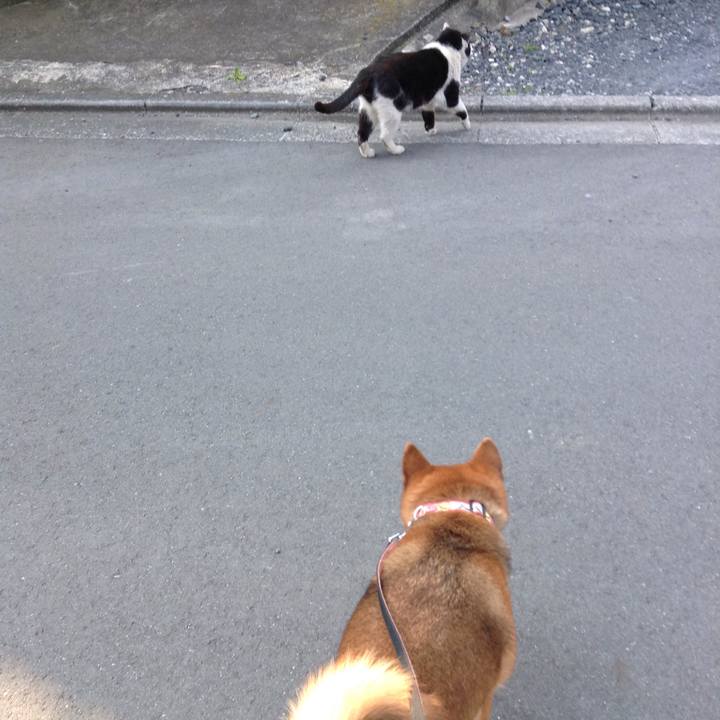 61b4b86a cbe6 41ff abaf 3692def284af