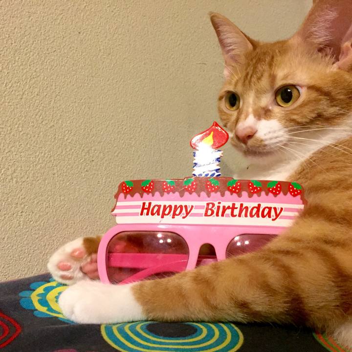 61b51222 6f8c 46f3 ad64 7525088a4348